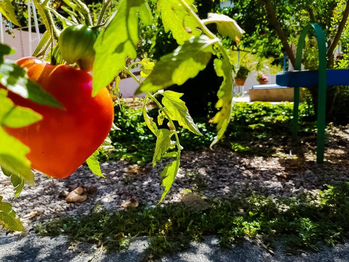 Colazione Dei Canottieri Bed and Breakfast Lago  Εξωτερικό φωτογραφία